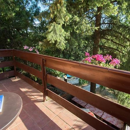 Happy House Villa Velika Remeta ภายนอก รูปภาพ