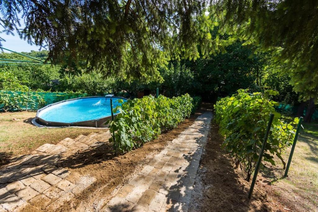Happy House Villa Velika Remeta ภายนอก รูปภาพ