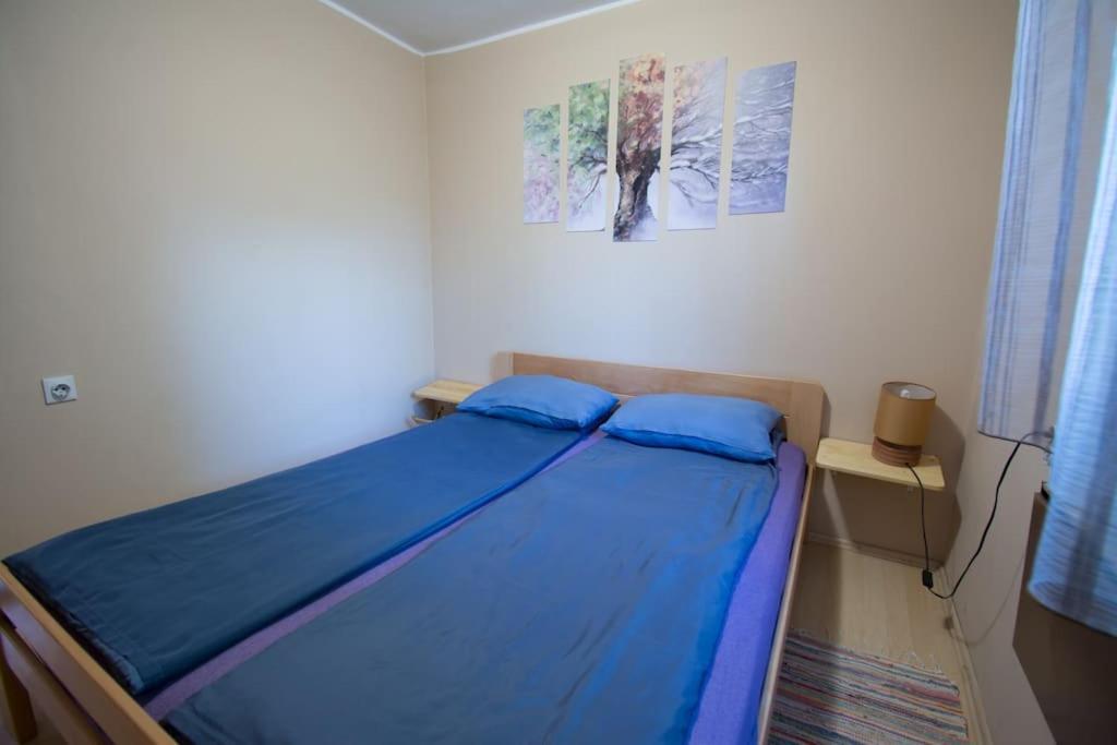 Happy House Villa Velika Remeta ภายนอก รูปภาพ